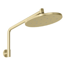 Ormond 250mm Shower Arm & Head